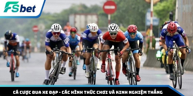 Cá cược đua xe đạp