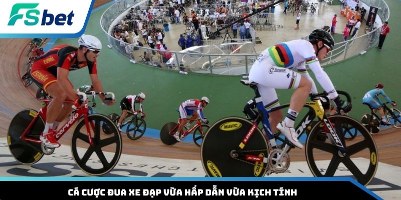 Cá cược đua xe đạp vừa hấp dẫn vừa kịch tính