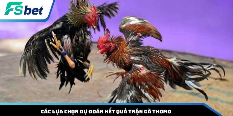 Các lựa chọn dự đoán kết quả trận gà Thomo