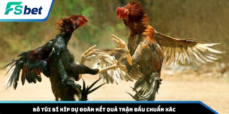 Bỏ túi bí kíp dự đoán kết quả trận đấu chuẩn xác